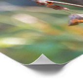 Poster Biche à queue noire de Columbie | État de Washingt (Coin)