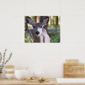 Poster Biche à queue noire de Columbie | État de Washingt (Cuisine)