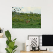Poster Biche et faon de cerf mulet D5 (Bureau à domicile)