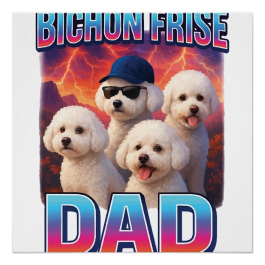 Poster Bichon frisé (Devant)