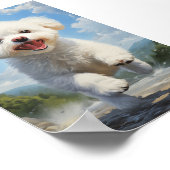 Poster Bichon Frise (Coin)