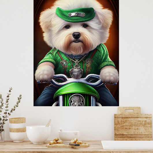 Poster Bichon Frisé Chien Conduite Vélo St. Patrick (Cuisine)