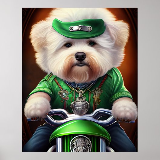 Poster Bichon Frisé Chien Conduite Vélo St. Patrick (Devant)