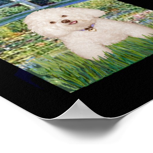 Poster Bichon Frise Composite (Coin)