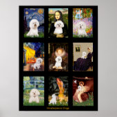Poster Bichon Frise Composite (Devant)