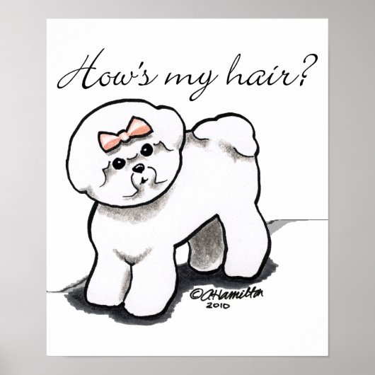 Poster Bichon Frise Habille Mes Cheveux (Devant)