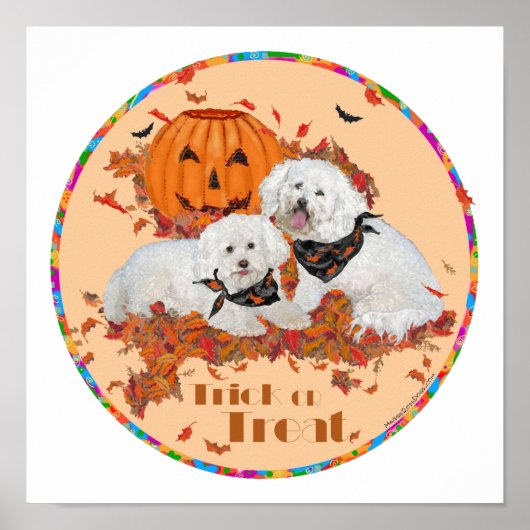 Poster Bichon Frise Halloween (Devant)