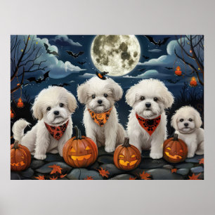 Poster Bichon Frise Halloween Éffrayant