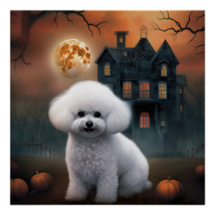 Poster Bichon Frise Halloween effroi