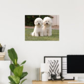 Poster Bichon Frise Imprimer (Bureau à domicile)