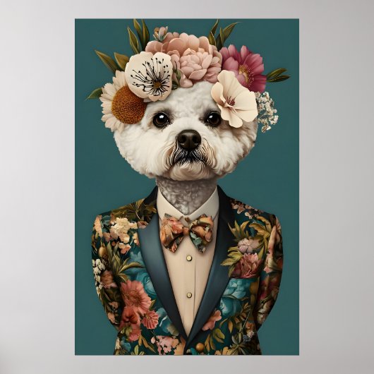 Poster Bichon Frise In Suit Poster, Bichon Frise (Devant)
