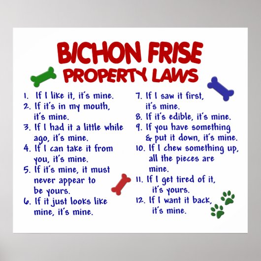 POSTER BICHON FRISE PL2 (Devant)