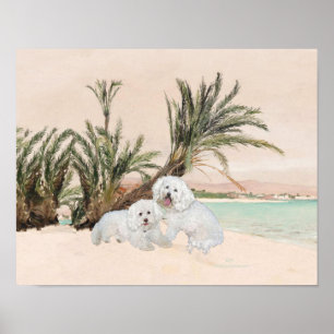 Poster Bichon Frise Plage de Palmyre