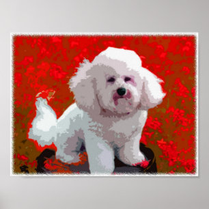 Poster Bichon Frise Pop Art Prints