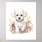 Poster Bichon Frise Pupet Pet Aquarelle Flower (Devant)