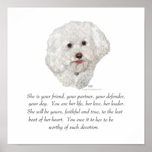 Poster Bichon Frise Souvenir FEMELLE