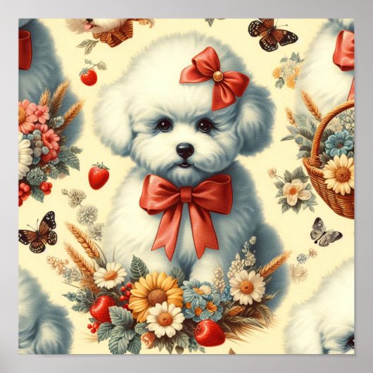 Poster Bichon Frisé Vintage (Devant)