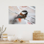 Poster Bickadee en hiver (Cuisine)