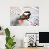 Poster Bickadee en hiver (Bureau à domicile)