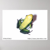 Poster Bicolor (Devant)