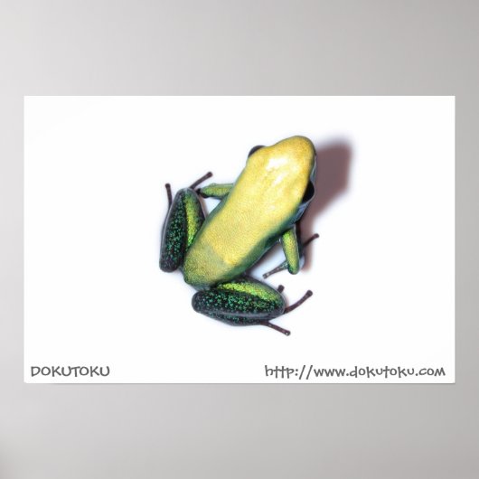 Poster Bicolor (Devant)