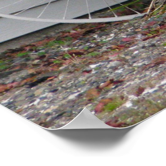 Poster Bicycle (Coin)