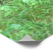 Poster Bicycle Pink Flowers en Panier (Coin)