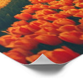 Poster Bicycle through Tulip Fields – Dutch Countryside (Coin)