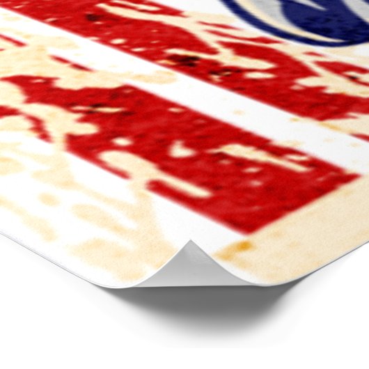 POSTER BIDEN24 (Coin)