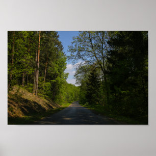 Poster Biélorussie Forêt Route rurale Ciel Paysage Nature