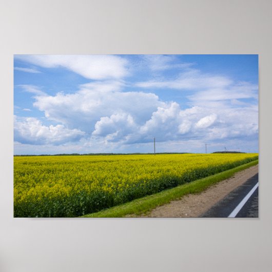 Poster Biélorussie Route Canola Fields Ciel (Devant)