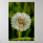 Poster Bien Me Faire Sauter (Devant)