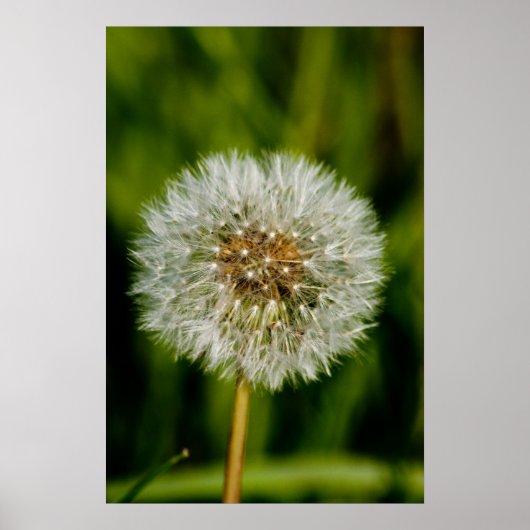 Poster Bien Me Faire Sauter (Devant)