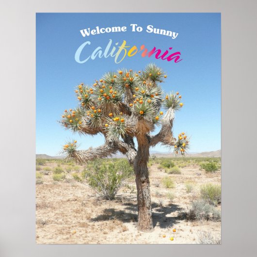 Poster Bienvenue À Sunny California (Devant)