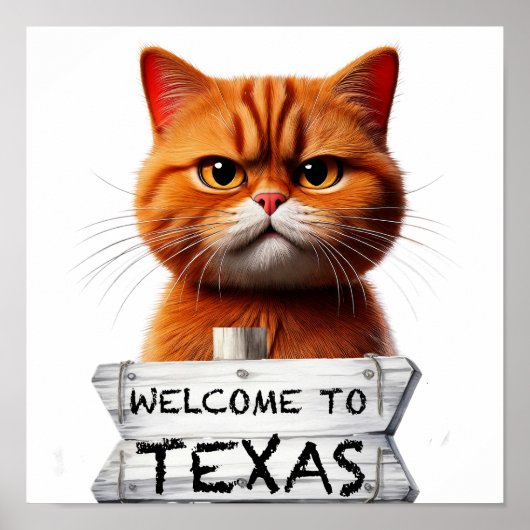 Poster Bienvenue au Texas (Devant)