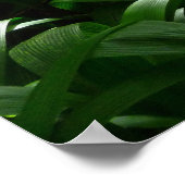 Poster Bienvenue dans la jungle ! (Coin)