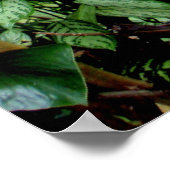 Poster Bienvenue dans la Jungle (Coin)