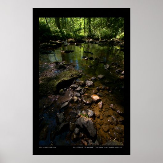 Poster Bienvenue dans la jungle (Devant)