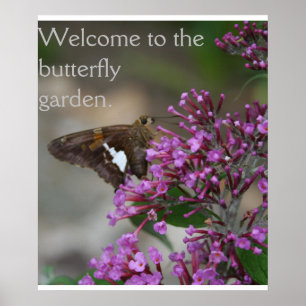Poster Bienvenue sur l'affiche du jardin des papillons—Sk