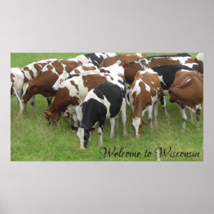 Poster Bienvenue sur l'affiche photo de la vaches laitièr
