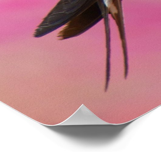 Poster Bienvenue Swallow (Coin)