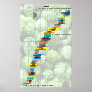 Poster Bière Par Les Nombres - Hops