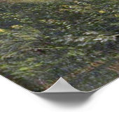 Poster Bierstadt Puget Sound Peinture côtière du Pacifiqu (Coin)