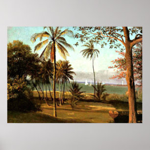 Poster Bierstadt - Scène Floride