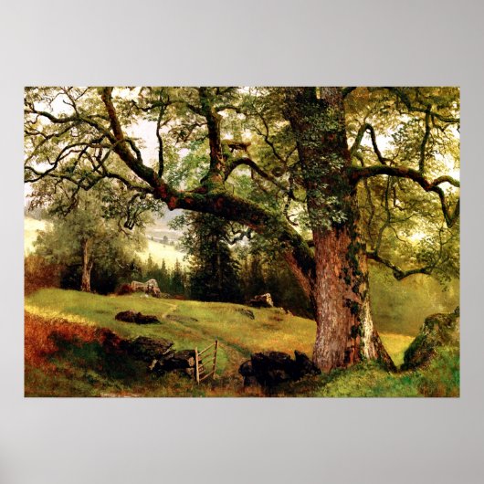 Poster Bierstadt - Un sentier à travers les arbres (Devant)