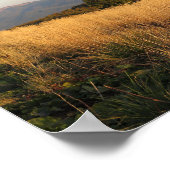 Poster Bieszczady Połonina Caryńska (Coin)