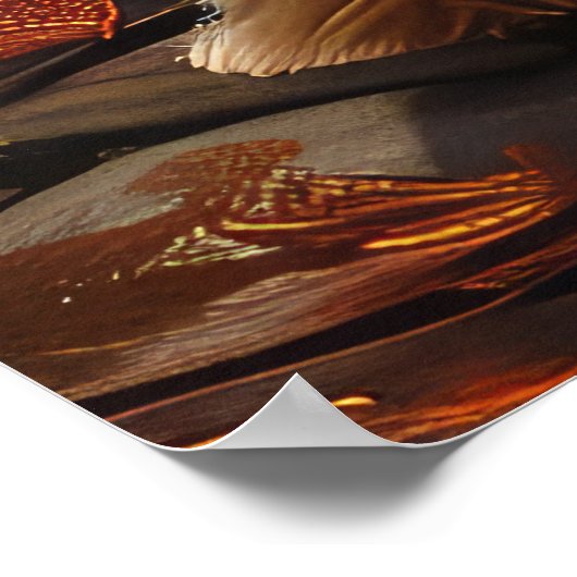 Poster Biewer Terrier Halloween Éffrayant (Coin)