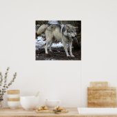 Poster Big Bad Wolf (Cuisine)