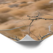 Poster Big Beautiful Bird (Coin)