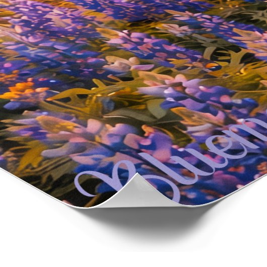 Poster Big Bend (Coin)